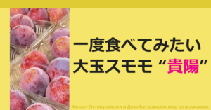 ●名前が既に凄そうな李