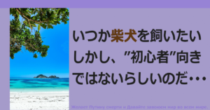 ■和犬を飼うという願望