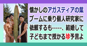 ▼アガスティアの葉