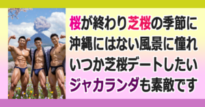 ■芝桜を観たい